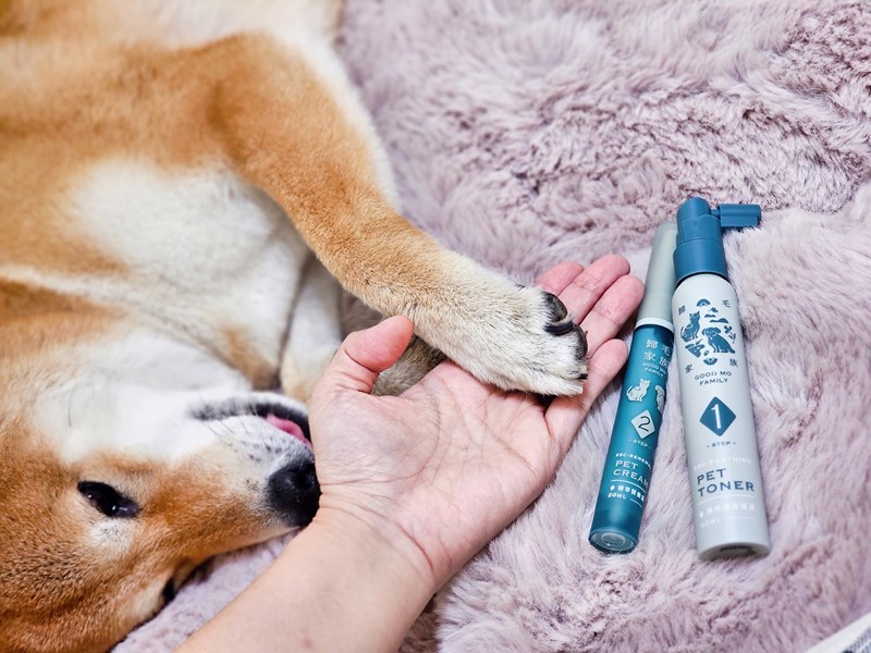 女人知己試用大隊,口碑行銷,部落客行銷,Goodmofamily歸毛家族 寵物肌膚救星組,歸毛家族 寵物肌膚救星,舒敏保濕洗毛乳,護膚噴液,精萃營養霜,博士30年生技專業,給足皮膚營養保護力,無抗生素 無類固醇,神經醯胺,19種綜合胺基酸,榮獲SNQ國家認證,上萬毛爸媽見證,3週幫助皮膚健康,NO.1寵物肌膚口碑霸主,寵物第一護膚領導品牌